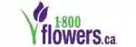  1-800-Flowers促銷代碼